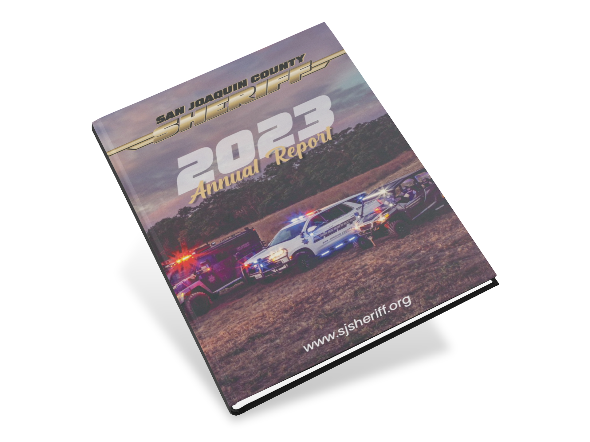 Mockup of the Annual Report