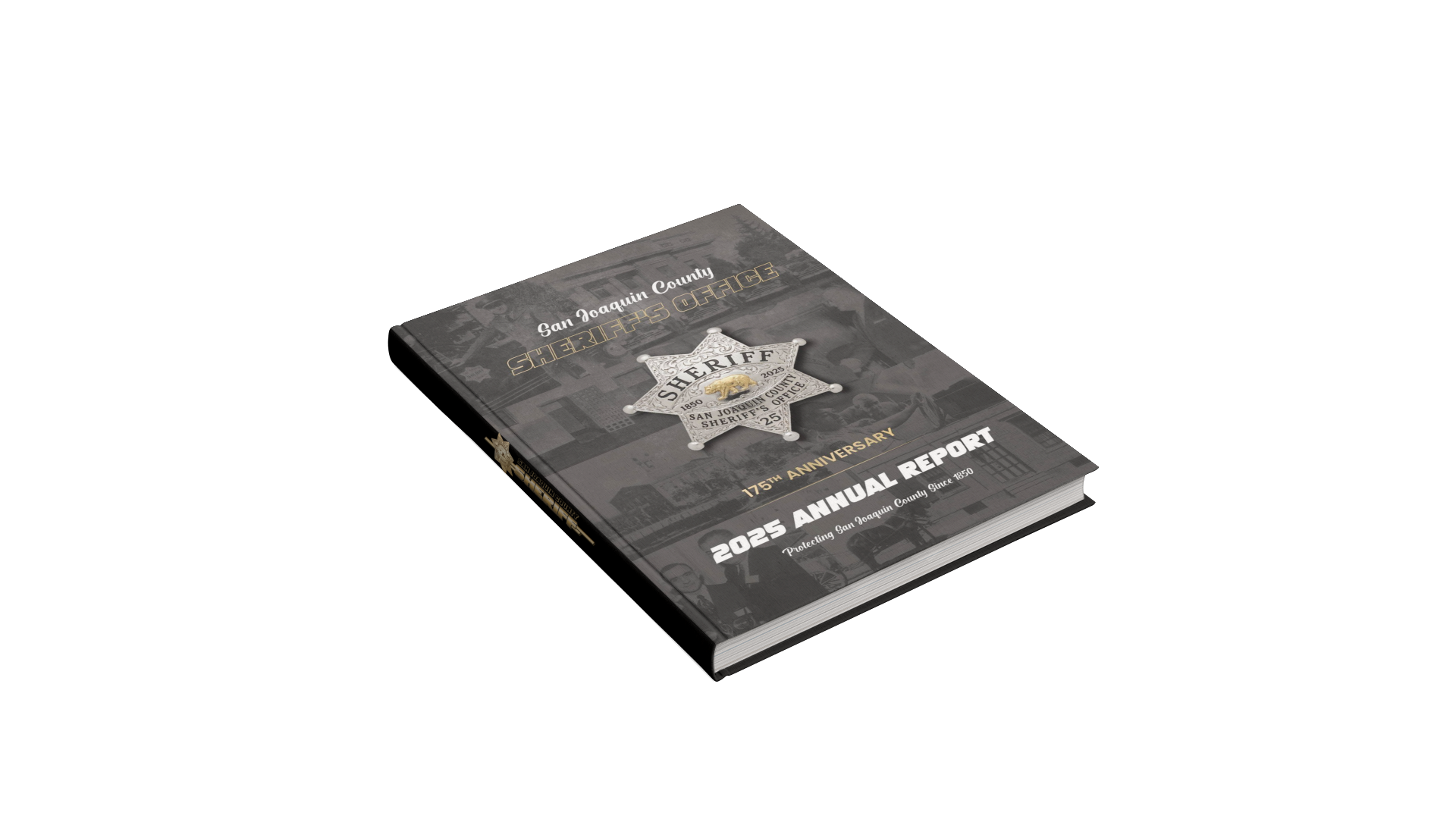 Mockup of the Annual Report